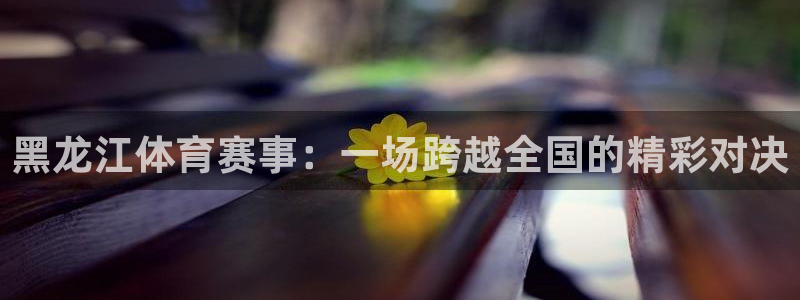 滨海国际君临湾：黑龙江体育赛事：一场跨越全国的精彩对决