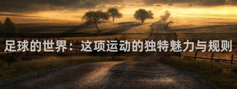 君临国际网页版登录入口：足球的世界：这项运动的独特魅力与规则