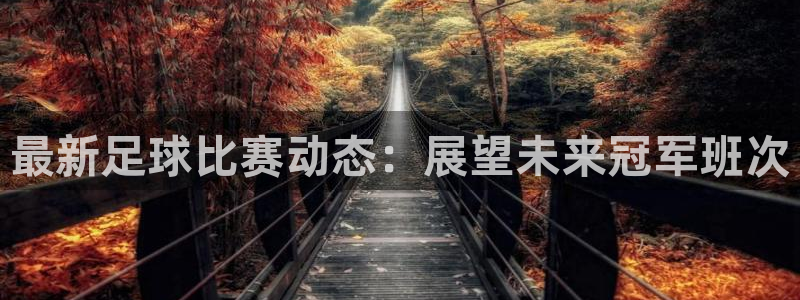 海口君临华府：最新足球比赛动态：展望未来冠军班次