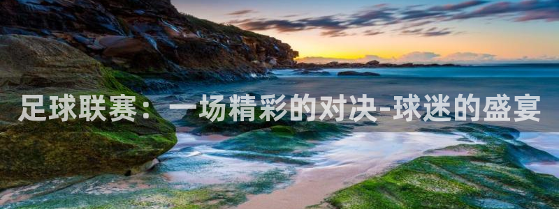 银川君临满城：足球联赛：一场精彩的对决-球迷的盛宴