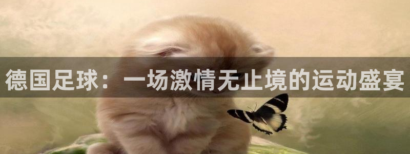 君临海域学位：德国足球：一场激情无止境的运动盛宴