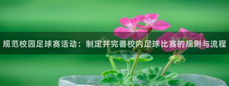 君临国际学区：规范校园足球赛活动：制定并完善校内足球比赛的规则与流程