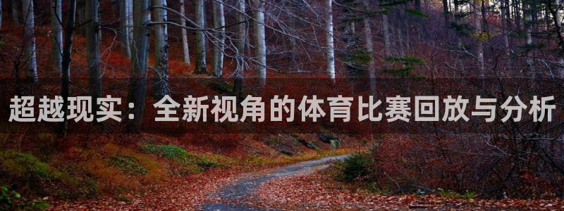 南京市君临国际：超越现实：全新视角的体育比赛回放与分析