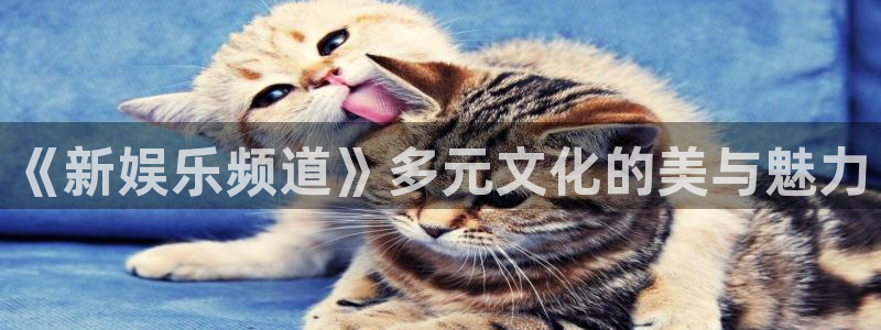君临国际官网：《新娱乐频道》多元文化的美与魅力