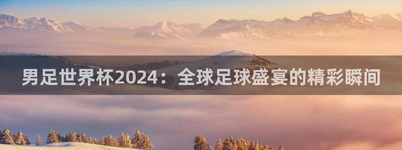 滨海国际君临湾：男足世界杯2024：全球足球盛宴的精彩瞬间
