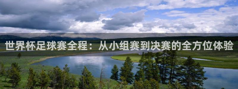 君临国际物业：世界杯足球赛全程：从小组赛到决赛的全方位体验
