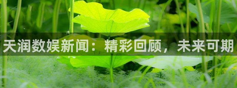 海口君临华府：天润数娱新闻：精彩回顾，未来可期