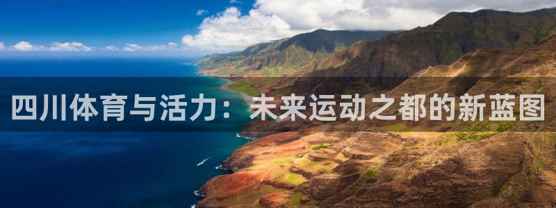 君临华府户型图：四川体育与活力：未来运动之都的新蓝图