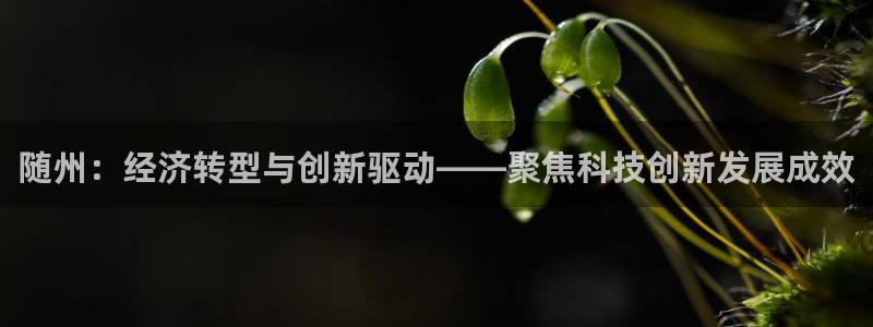 君临战国：随州：经济转型与创新驱动——聚焦科技创新发展成效