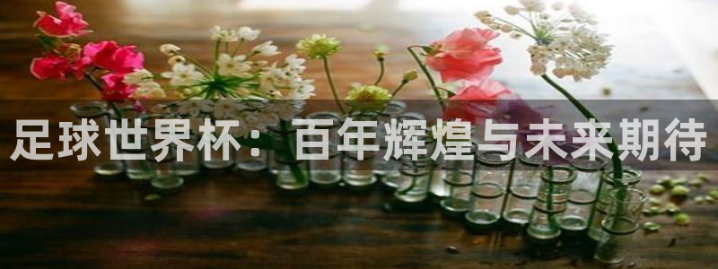 广州君临国际公寓：足球世界杯：百年辉煌与未来期待