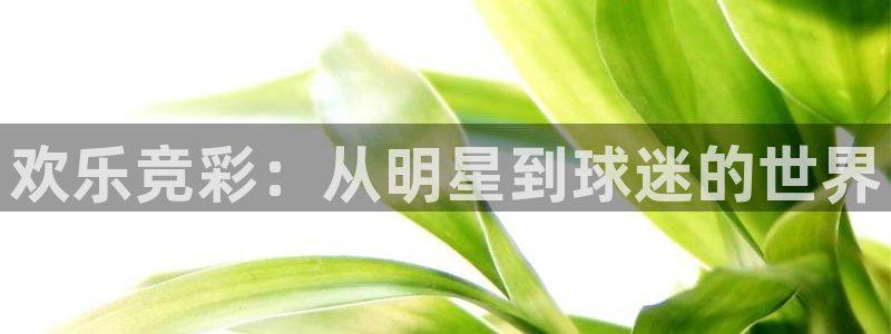 君临海岸房价：欢乐竞彩：从明星到球迷的世界