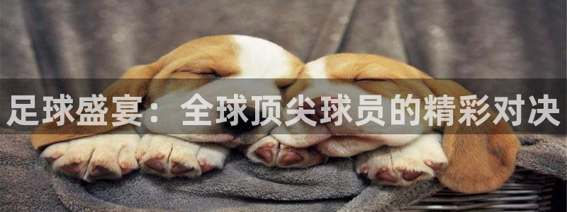 汕头君临公寓：足球盛宴：全球顶尖球员的精彩对决