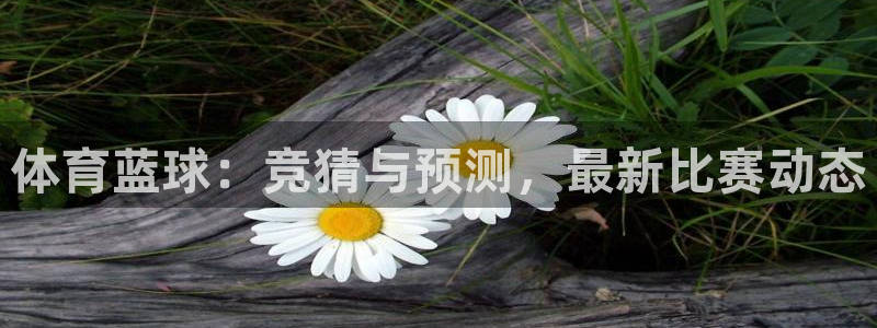 君临国际长沙：体育蓝球：竞猜与预测，最新比赛动态