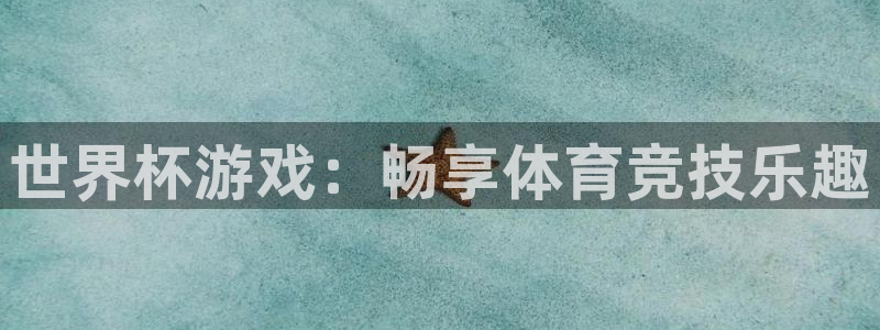 君临国际怎么样：世界杯游戏：畅享体育竞技乐趣